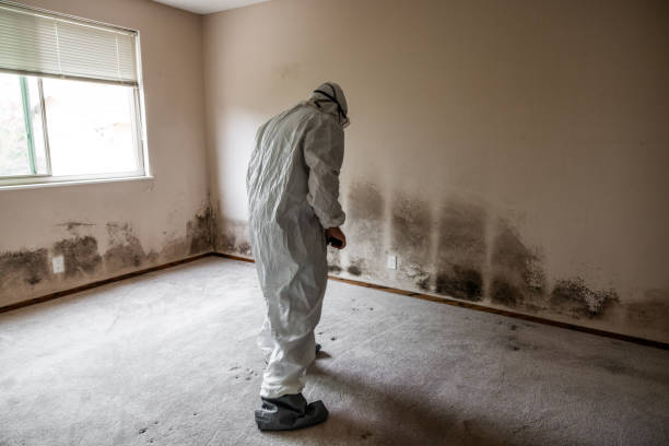 Mold Remediation for Rental Properties in Thunder Mountain, NM